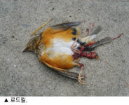 선유는 ‘선‘을 잃고 명사십리는 ‘명사’를 잃다