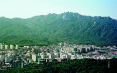 사고 싶은 곳, 전·월세라도 미리 살아야