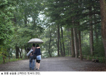 작은동이층 | 540년 오롯한 자연의 숨이 내 몸 깊숙이