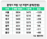 지방의회 202곳, 의정비 기준액 초과