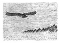 [길을찾아서] 금쪽같은 가족을 포탄이 산산이… / 백기완