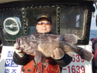 68㎝ ‘대물’ 우럭…2㎝만 컸더라면