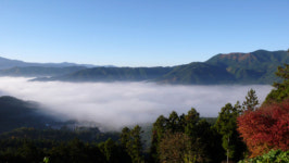 앞에 선 당신 등이 내 발걸음을 이끌어갑니다