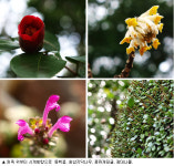 또하나의 교실 산, 식물이 부르면 간다