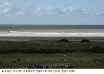 타임머신 타고 시간여행 하는 듯한 착각