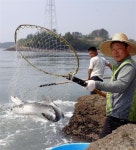 ‘물반 고기반’이 바로 이런거