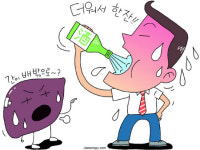더위 식히는 술 한잔에 ‘더위먹는 간’
