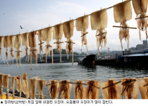 너른 바다 짠내 넘어 풍겨오는 ‘초록의 향기’ 