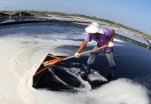 천일염, 식탁의 ‘빛과 소금’