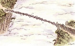 [박재동의손바닥아트] 새 오작교