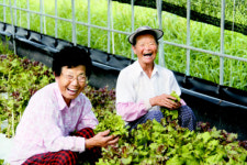 지자체 앞장서 다품종 소량생산 체계 구축
