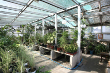 옛 기무사 터, 예술 향기 퍼진다