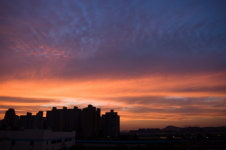 [생활사진가 열전] 업무로 시작한 사진이 이젠 예술의 문턱에