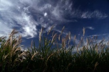 [생활사진가 열전] 업무로 시작한 사진이 이젠 예술의 문턱에