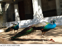 장애도 녹이고 결점도 안아 ‘복’을 만들다