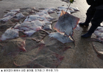 코 찡한 기절초풍할 맛 “어서옵쇼잉~”