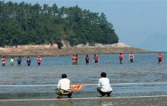 생태조사 연구원 부안 하섬서 참변
