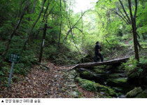 버리고 비운 인연 따라 마음길 느릿느릿