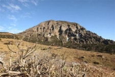 돈내코, 15년 만에 개방