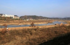 자전거길에 망가지는 ‘철새천국 공릉천’