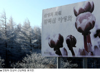 바람결에 춤추는 ‘서리꽃’, 검은 석탄 뒤덮네