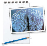 뇌는 워커홀릭? 부지런히 써야 치매 예방