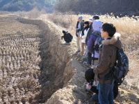도요마을 휘감은 강줄기, 파헤치고 할퀴고