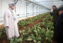 조계종 “3월 금강산서 법회”