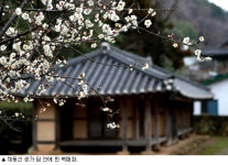 [인간주의 여행] 발은 ‘태백산맥’ 읽고, 입은 졸깃한 꼬막 ‘오물’