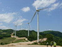 친환경에너지 ‘환경훼손 터닦기’