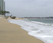 ‘신선한 재료 통째’ 참살이 요리