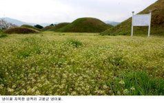 [인간주의 여행] 이름도 생김도 거시기한 여근곡 ‘어허~험’