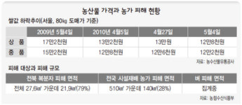 “배꽃 다 얼어죽어…폭삭 망했다”