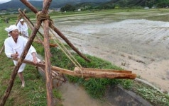 용두레 바빠지던 그 시절엔…