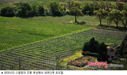 [유쾌한 식탁] 눈은 빛나고 혀는 흥분하리