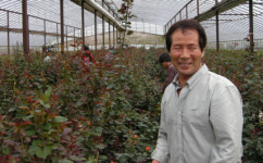장미농장 주인 130억원 기부 “농업 키울 종잣돈 보탤래요”