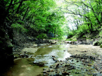 주민들이 ‘수락산 동막골 막개발’ 막았다