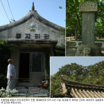 [인간주의 여행] 천년숲이 병풍처럼, 거목들이 성처럼