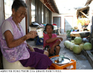 [인간주의 여행] 천년숲이 병풍처럼, 거목들이 성처럼