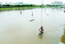 비만 오다 8월이 간다