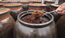 원통해서 발 못 떼는 그 맛…인제 가면 언제 다시