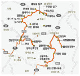 [인간주의 여행] 가을 타고 구불구불, 오메! 차에 단풍 들것네