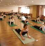 한국사회체육교육원란요가 | 서울현대전문학교 사회체육·연기학부 요가지도학과 개설