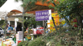 군포시 ‘새마을회’ 특혜지원·불법영업 묵인