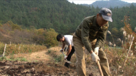 5년차 농사꾼의 ‘갈팡질팡’ 귀농기