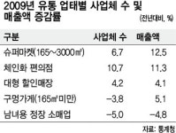 대형슈퍼 538곳 늘고, 구멍가게 3317곳 줄고