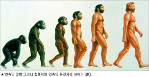 [환경뉴스] 인간 남자의 거시기에서 가시가 왜 사라졌을까