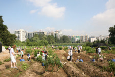 도시농업, 도시도 살리고 농촌도 살린다