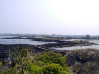 올망졸망 포구·항일유적지 휘휘돌아 ‘올레’