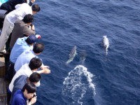 자~떠나자 동해바다로 배 타고 고래떼 만나러